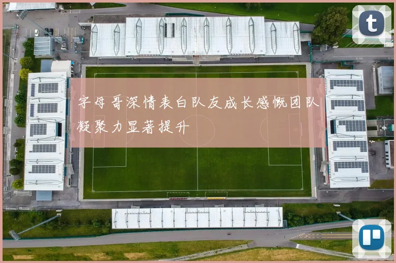 字母哥深情表白队友成长感慨团队凝聚力显著提升