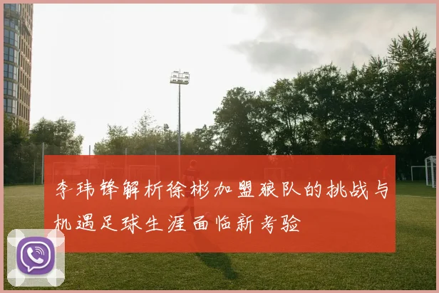 李玮锋解析徐彬加盟狼队的挑战与机遇足球生涯面临新考验