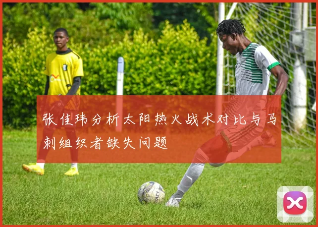 张佳玮分析太阳热火战术对比与马刺组织者缺失问题
